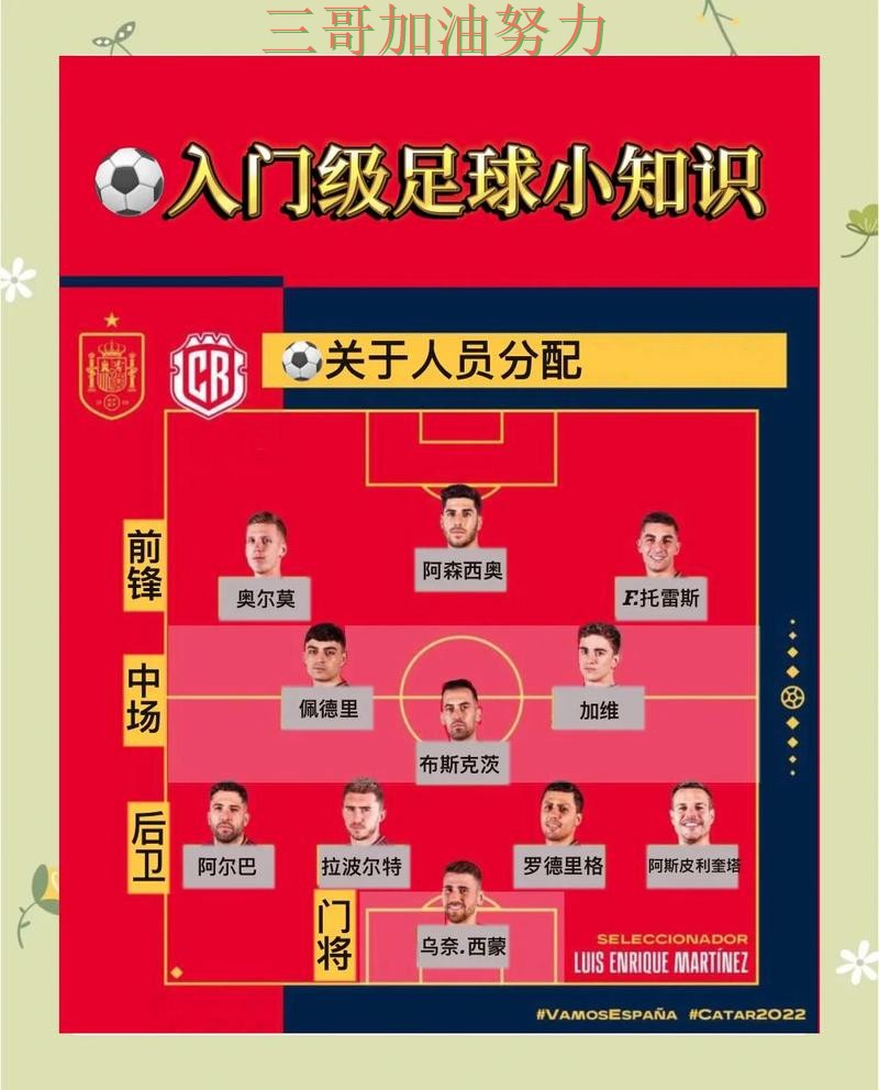 世界杯买球怎么选别乱选,使用指南给你答案(世界杯官方信息) 世界杯买球怎么选别乱选,使用指南给你答案(世界杯官方信息)